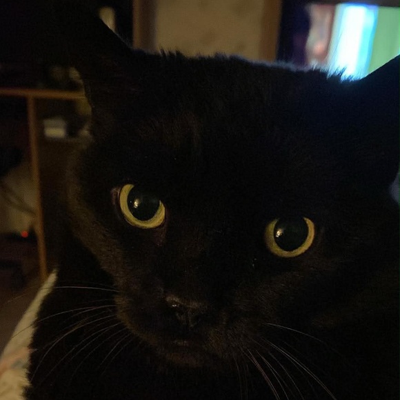maryannesawyer